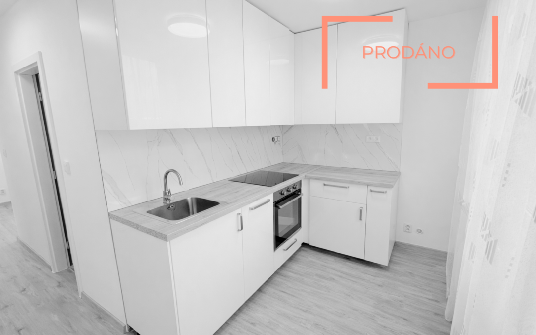 Byt 2+1, Na Radouči, Mladá Boleslav