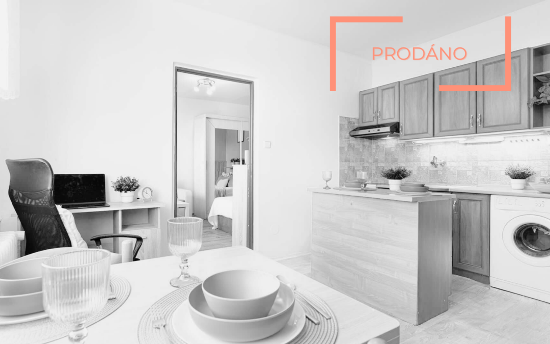 Byt 1+1, Podlesí, Hodkovice