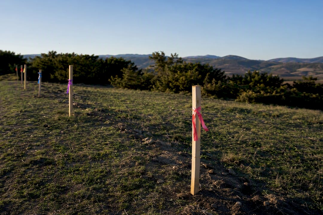1787553486773_Rural-land-boundary-markers-stake-close-up Detailní záběr hranice pozemku na venkově označené kůly